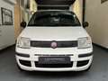 Fiat Panda 1.2i - Euro5 - Garantie 12mois Blanc - thumbnail 2