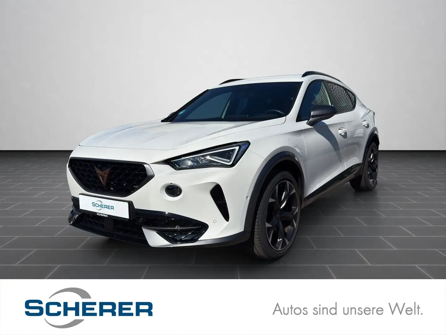 CUPRA Formentor VZ 2.0TSI VZ CARPLAY WINTER-PAKET Weiß - 1