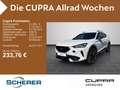 CUPRA Formentor VZ 2.0TSI VZ CARPLAY WINTER-PAKET Weiß - thumbnail 1