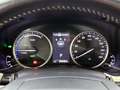 Lexus NX 300h AWD Sport Edition | Apple CarPlay / Android Auto | Grijs - thumbnail 6