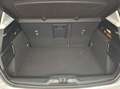 Ford Focus 1.5 EcoBlue  Aut.Titanium X - thumbnail 12