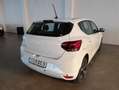 Dacia Sandero 0.9 TCe 90  "Jahreswagen" Weiß - thumbnail 9