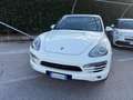 Porsche Cayenne Cayenne 3.0 Diesel Blanc - thumbnail 2