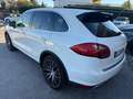 Porsche Cayenne Cayenne 3.0 Diesel Bianco - thumbnail 5