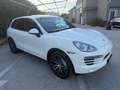 Porsche Cayenne Cayenne 3.0 Diesel Blanc - thumbnail 1