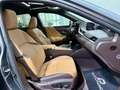 Lexus ES 300 300h Premium Gris - thumbnail 7
