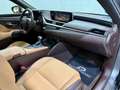 Lexus ES 300 300h Premium Gris - thumbnail 48