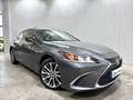 Lexus ES 300 300h Premium Gris - thumbnail 2