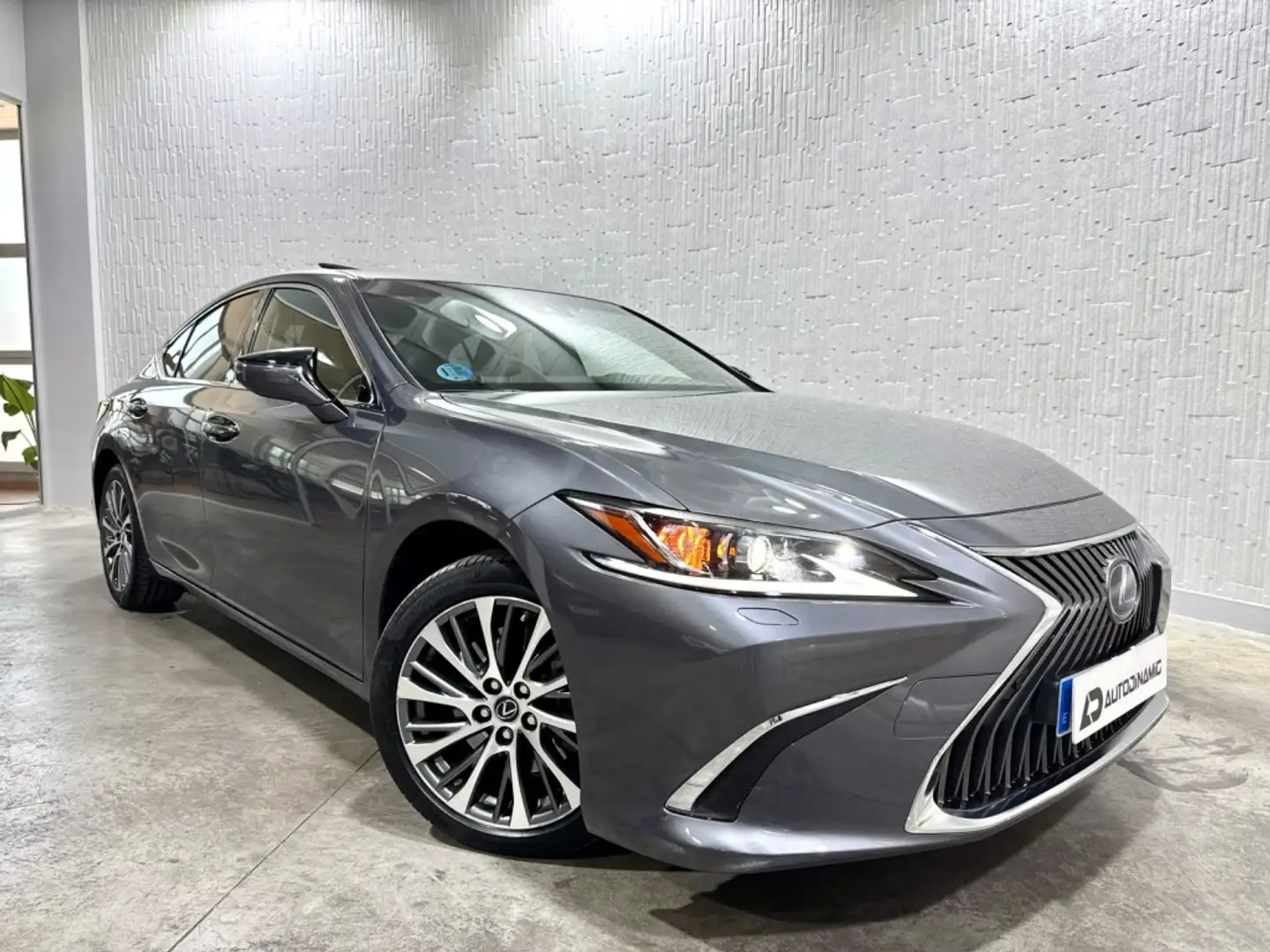 Lexus ES 300 300h Premium Gris - 2