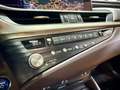 Lexus ES 300 300h Premium Gris - thumbnail 30