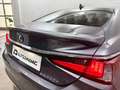 Lexus ES 300 300h Premium Gris - thumbnail 21