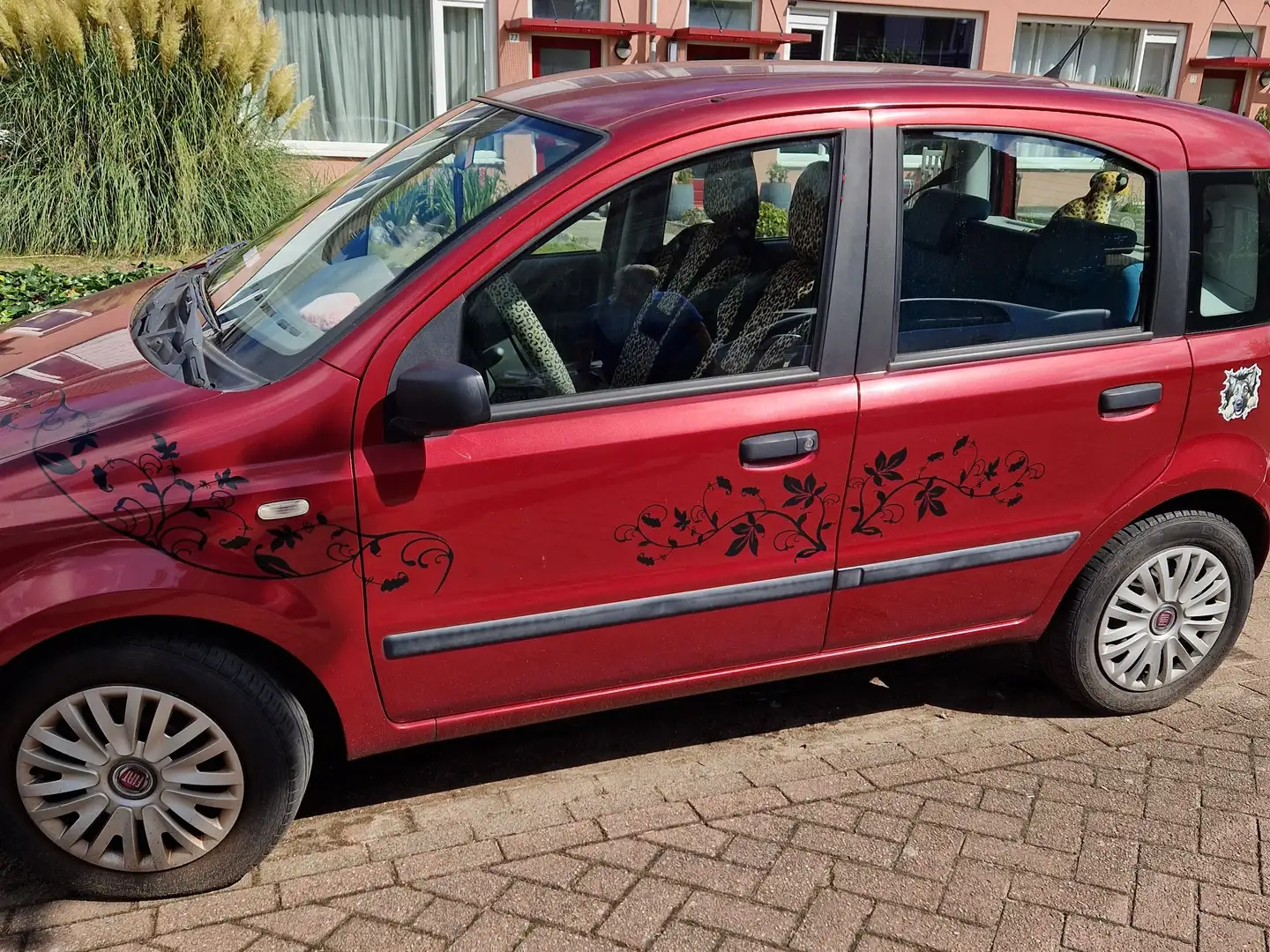 Fiat Panda Panda 1.2 Dynamic Rouge - 2