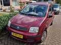 Fiat Panda Panda 1.2 Dynamic Rouge - thumbnail 1