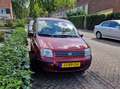 Fiat Panda Panda 1.2 Dynamic Rouge - thumbnail 8