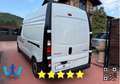 Renault Trafic 2.0 TETTO ALTO PASSO LUNGO DOPPIA PORTA Blanc - thumbnail 7