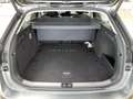 Skoda Superb Combi Selection 2.0 TDI DSG / Pano, AHK Grau - thumbnail 10