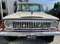 Jeep Jeep J4000 5.9l V8 - thumbnail 3