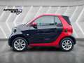 smart forTwo fortwo cabrio Kamera PDC Navi Rouge - thumbnail 15