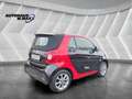 smart forTwo fortwo cabrio Kamera PDC Navi Rouge - thumbnail 3