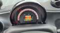 smart forTwo fortwo cabrio Kamera PDC Navi Rouge - thumbnail 23
