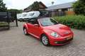 Volkswagen Beetle Cabriolet 1.6 TDI Design Rood - thumbnail 5