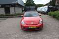Volkswagen Beetle Cabriolet 1.6 TDI Design Rood - thumbnail 4