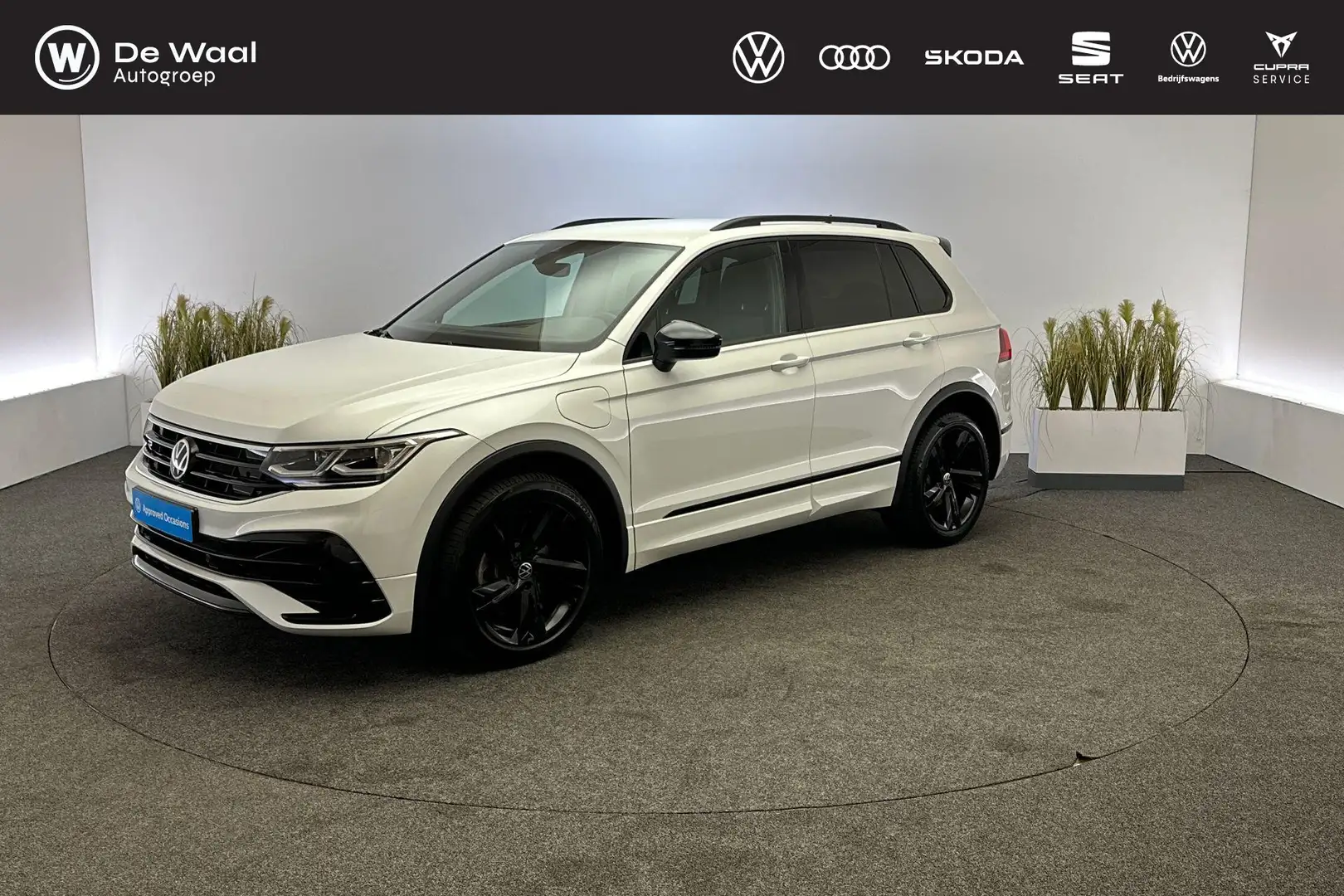 Volkswagen Tiguan 1.4 TSI 245pk DSG eHybrid R-Line Business | Trekha Blanco - 1