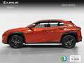 Lexus UX 250h 2.0 Business Naranja - thumbnail 3