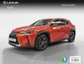 Lexus UX 250h 2.0 Business Naranja - thumbnail 1