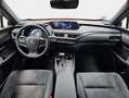 Lexus UX 250h 2.0 Business Naranja - thumbnail 12