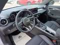 Alfa Romeo Tonale 1.6 diesel 130 CV TCT6 Ti Blanco - thumbnail 14