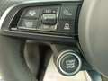 Alfa Romeo Tonale 1.6 diesel 130 CV TCT6 Ti Blanco - thumbnail 29