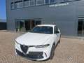 Alfa Romeo Tonale 1.6 diesel 130 CV TCT6 Ti Blanco - thumbnail 1
