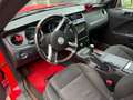 Ford Mustang Mustang 3.7 v6 Ti-VCT (305cv) Rosso - thumbnail 6