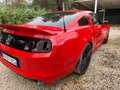 Ford Mustang Mustang 3.7 v6 Ti-VCT (305cv) Rosso - thumbnail 5