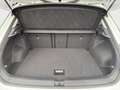 Volkswagen T-Roc Life 1.5 TSI 110 kW DSG STANDHZ KAMERA Weiß - thumbnail 9