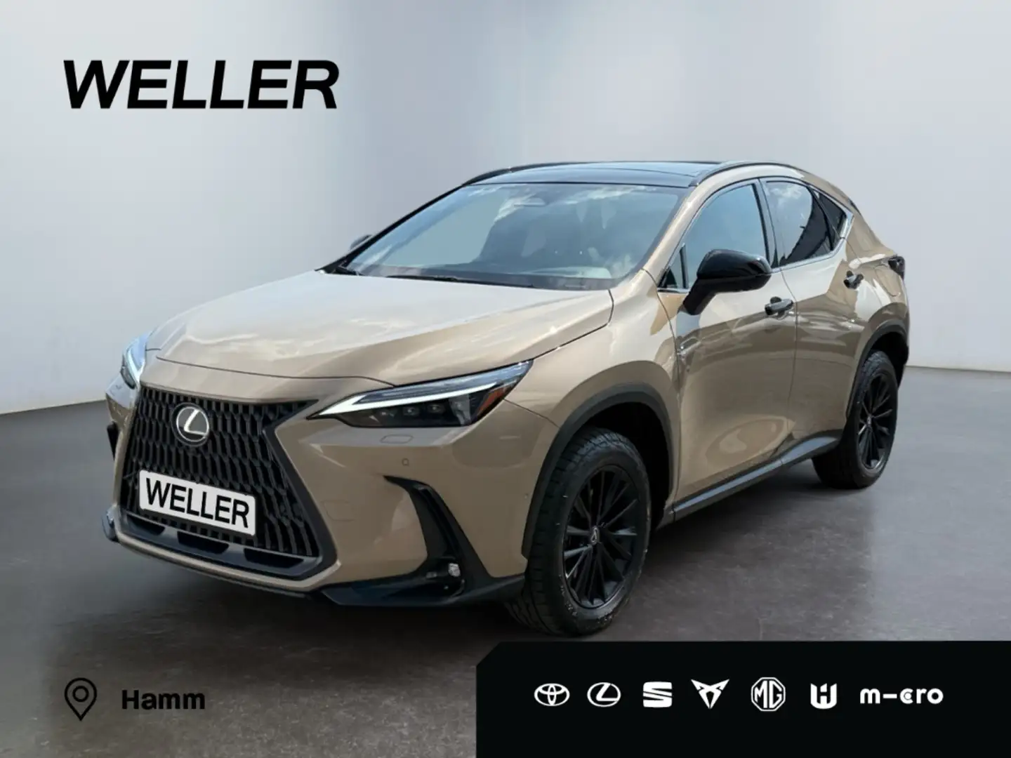 Lexus NX 350h E-FOUR Overtrail *LED*Pano*360*HUD*Navi* Beige - 1