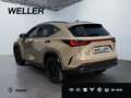 Lexus NX 350h E-FOUR Overtrail *LED*Pano*360*HUD*Navi* Beige - thumbnail 7