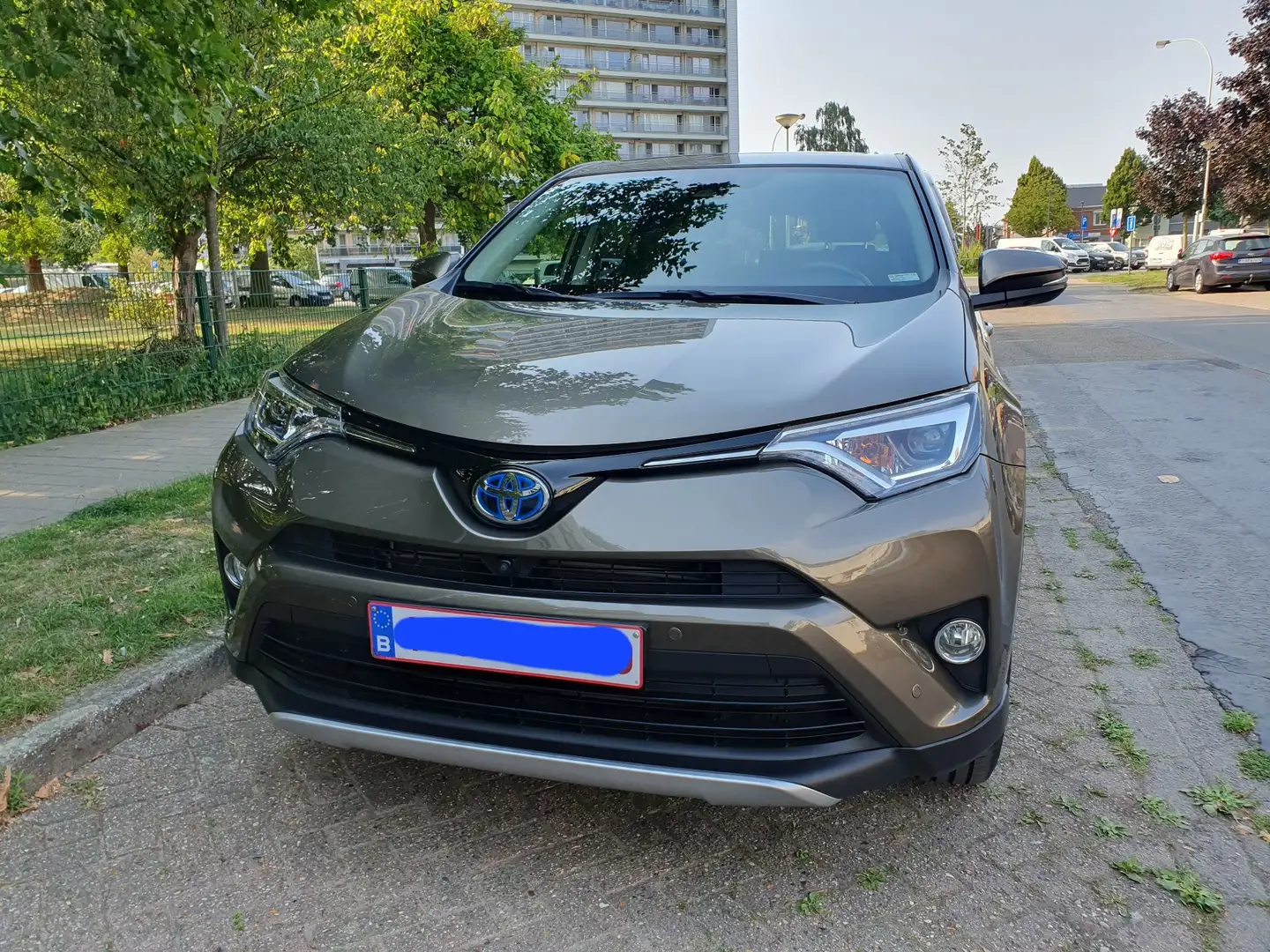 Toyota RAV 4 2.5 4x2 Hybrid Edition-S - 2
