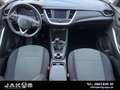 Opel Grandland X Grandland Edition Edition1,5 Ltr. - 96 kW CDT... Zwart - thumbnail 13