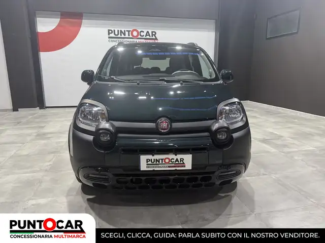 Fiat Panda view 2