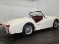 Triumph TR3 B Blanco - thumbnail 15
