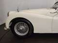 Triumph TR3 B Blanco - thumbnail 20