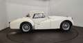 Triumph TR3 B Blanco - thumbnail 27