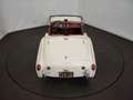 Triumph TR3 B Blanco - thumbnail 14