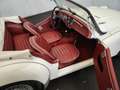 Triumph TR3 B Blanco - thumbnail 45