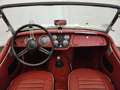 Triumph TR3 B Blanco - thumbnail 33