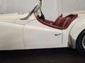 Triumph TR3 B Blanco - thumbnail 11