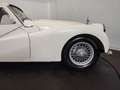 Triumph TR3 B Blanco - thumbnail 30