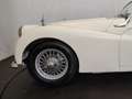 Triumph TR3 B Blanco - thumbnail 10